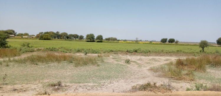 Terrenos